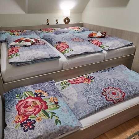 Apartman U Vleku Javor Пец-под-Снежкой Экстерьер фото